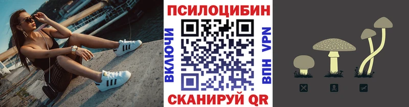 Псилоцибиновые грибы Psilocybe  Купить закладки  Кириши 